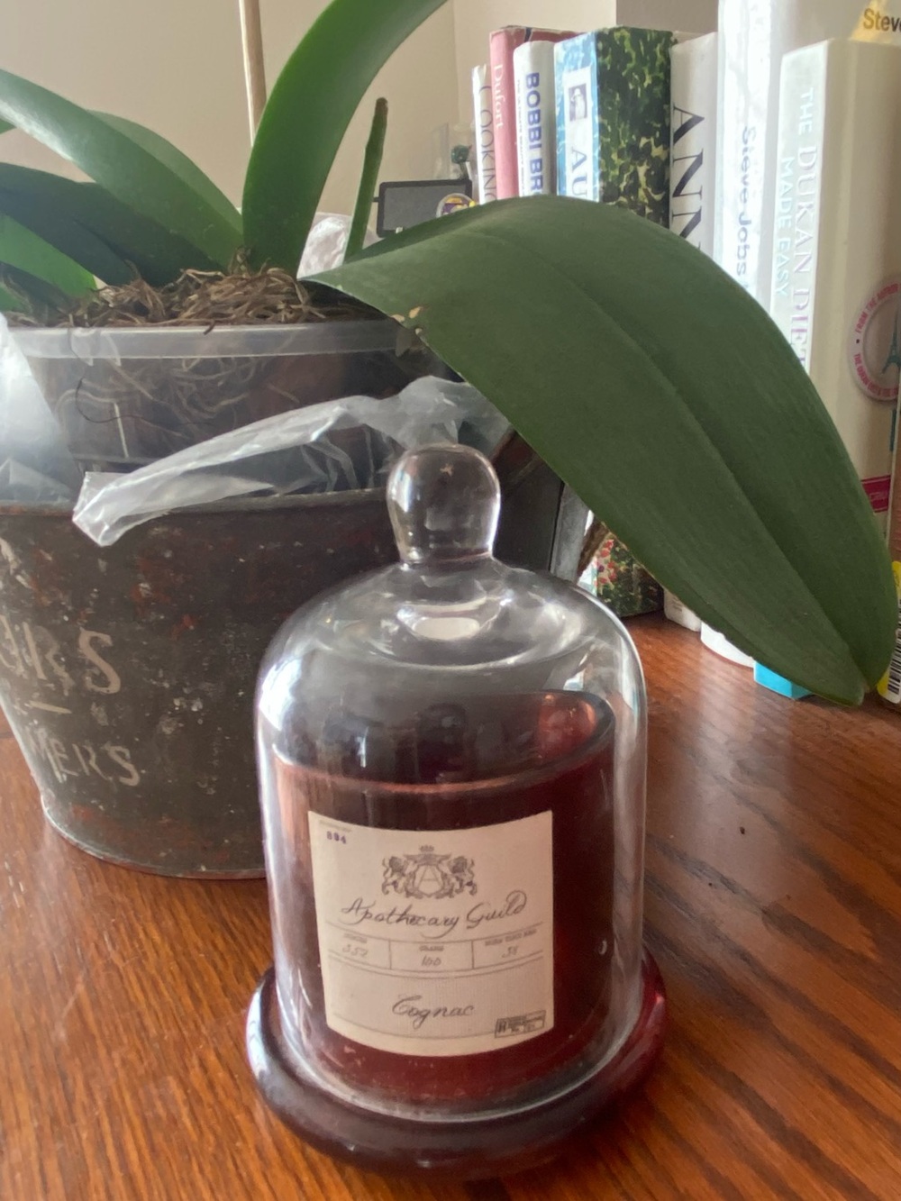 Vintage Glass Clocher with base